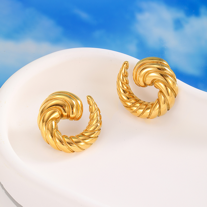 Ivanda Stainless steel Horn shape earrings YHTSE-2501823