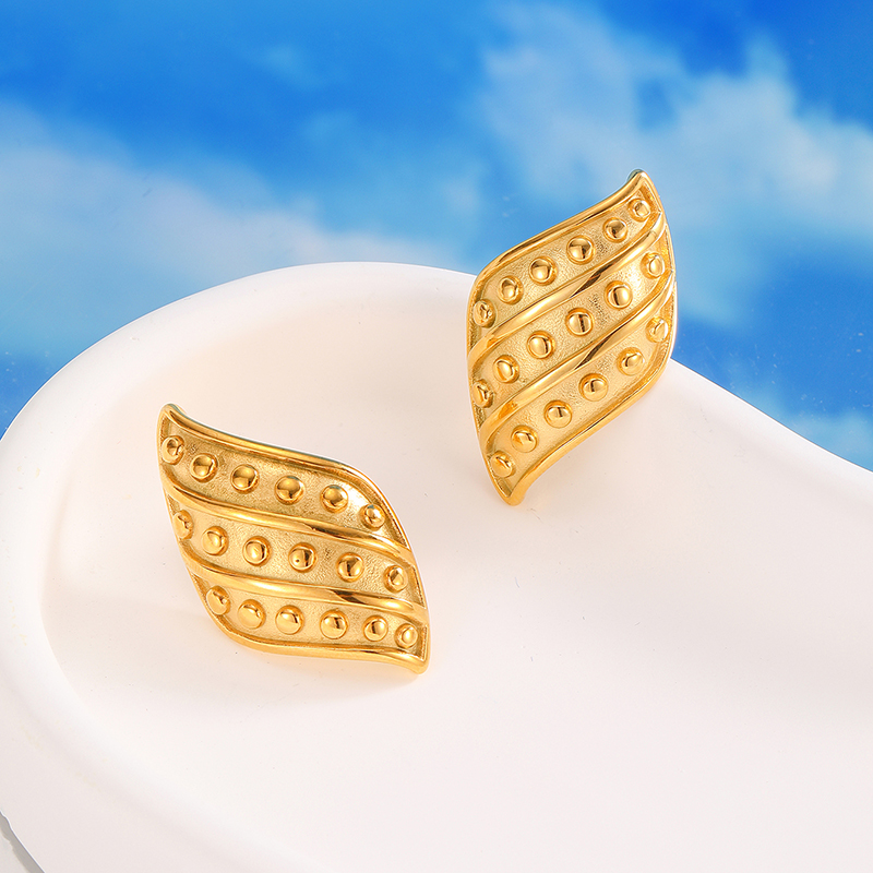Ivanda Stainless steel exaggerated geometry earrings YHTSE-2501760