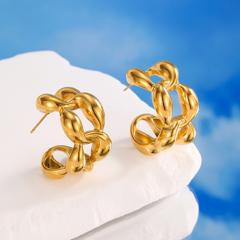 Ivanda Stainless steel Irregular design earrings YHTSE-2501903