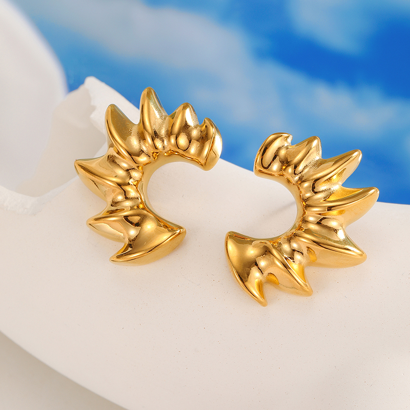 Ivanda Stainless steel exaggerated earrings YHTSE-2501693